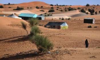 3075 | Désert - Mauritanie - Le désert habité de Mauritanie séduit de nombreux treckers du monde entier. L'accueil y est particulièrement chaleureux, et ses habitants sont des guides précieux et très hospitaliers.