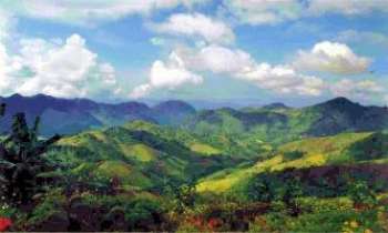 3162 | Birmanie - Montagnes - Les monts de Kalaw en Birmanie. Une grande variété de végétation et de couleurs, donne à ce lieu une allure de tableau peint. Non loin du Tibet,
des tribus aux coutumes inchangées depuis des siècles, y vivent. Au pied
de ces monts le lac Inle, et de nombreux temples. L'accueil chaleureux des
habitants en fait un endroit très prisé pour le treck.    