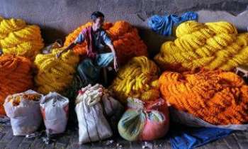3206 | Teinturier - Inde - Un métier ancestral, celui des teinturiers en Inde. Ils produisent les merveilleuses couleurs des saris des femmes de ce pays. Ou encore les tissus
chatoyants qui habillent les pièces à vivre, les sofas, dans les maisons. 