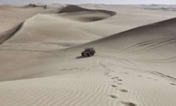 3383 | traces dans les dunes - 