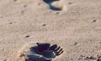 3421 | Un pas dans le sable - 