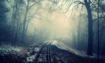 3584 | Chemin de fer en forêt - 
