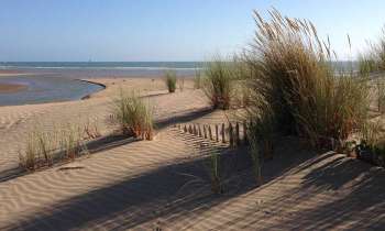 3627 | étendue de sable - La plage du Veillon à Talmont-Saint-Hilaire