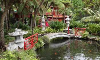 3954 | Ambiance Japonaise  - Jardin Botanique de Funchal 