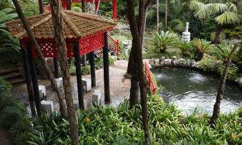 3902 | Jardin Japonais  - Jardin botanique de Funchal 