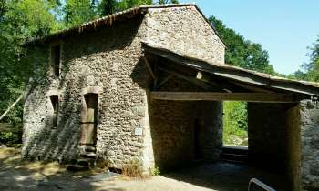 3906 | Moulin à eau de la Barbinière - 