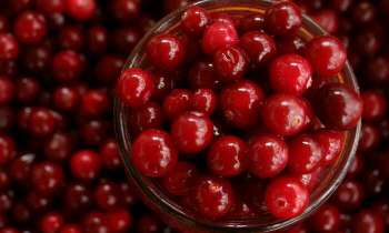 4244 | Canneberges - La canneberge, la grande airelle rouge, l’atoca, ou en anglais "cranberry", est un arbrisseau venant d'Amérique du Nord.