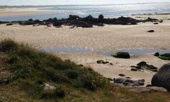 4174 | Sillons de sable blanc breton - 