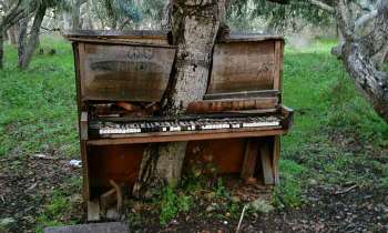 4932 | Piano ou arbre - 