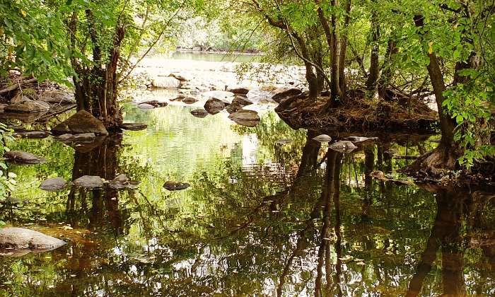 Puzzle Bord de Sèvre dans la catégorie Paysages & Fleurs En bord de Sèvre à Clisson
