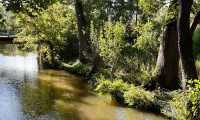 Puzzle Marais Poitevin