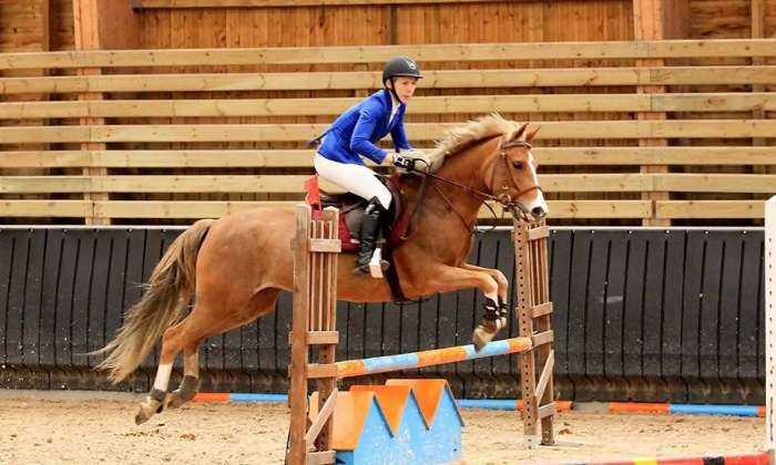 puzzle saut d'obstacles, ma belle-fille participant à un concours de saut d'obstacles