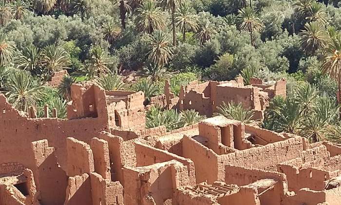 puzzle Sud marocain, Balade dans la palmeraie