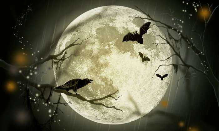 puzzle Pleine lune avant Halloween, Pleine lune avant le soir d'Halloween !
