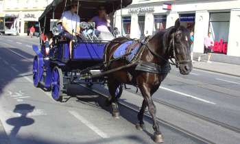 Puzzle 14184 - voiture attelée