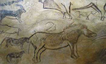 5498 | Préhistoire - Dessins préhistoriques dans une grotte