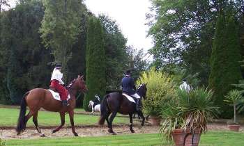 Puzzle 15176 - Fête équestre