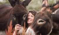 Puzzle l'amour des animaux