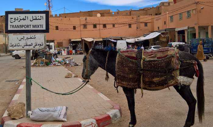 puzzle Transport, Moyen de Transport  à Marrakech (Maroc)