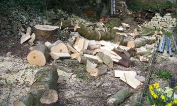 5699 | Abattage d'un arbre - Après l'abattage, le débiter et le ranger pour alimenter la cheminée !!