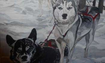 Puzzle 15203 - Chiens dans la neige