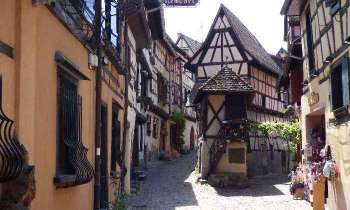 5647 | Eguisheim  en Alsace - très jolie ville  typiquement alsacienne
