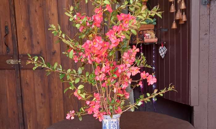 Puzzle gratuit Fleurs dans la catégorie Paysages & Fleurs jouable de 24 à 120 pièces.