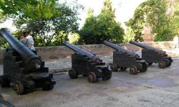 5734 | Canons - Anciens canons sur roues
