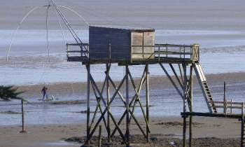 Puzzle 15224 - Un carrelet pour pêcher