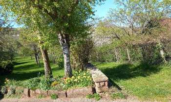 Puzzle 14499 - nature