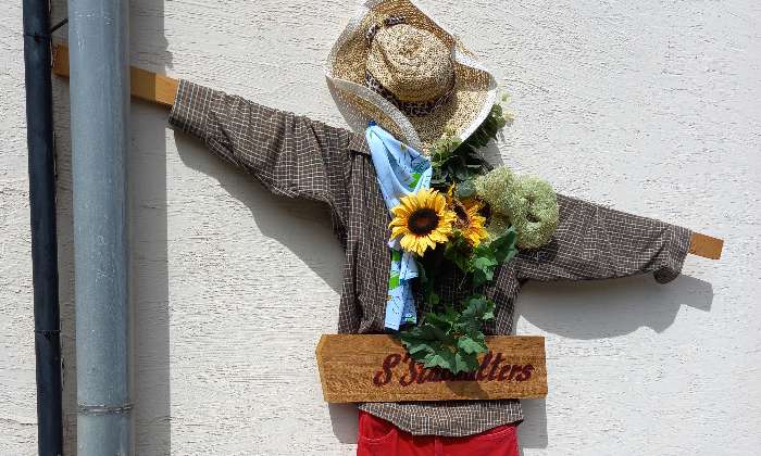 Puzzle gratuit épouvantail dans la catégorie Divers & Curiosités jouable de 24 à 120 pièces.