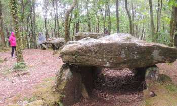 5764 | Dolmen en Bretagne - Comment ont-ils pu faire pour monter ces pierres pesants plusieurs tonnes ? Admiration pour nos anciens.