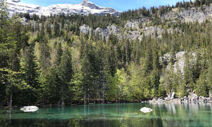 puzzle Lac vert à Passy (Hte Savoie), 