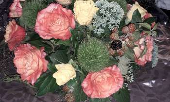 Puzzle 14144 - fleurs