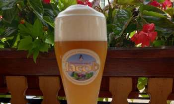 6333 | Bière Jacob - Une bière Jacob à la pression