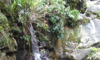 Puzzle Petite cascade - catégorie Paysages & Fleurs, puzzle gratuit en ligne