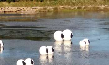 Puzzle Festival de l'estran - catégorie Paysages & Fleurs, puzzle gratuit en ligne