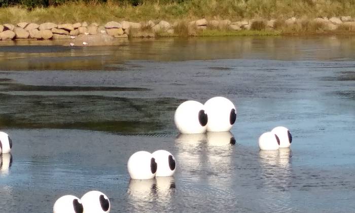 Puzzle gratuit Festival de l'estran dans la catégorie Paysages & Fleurs jouable de 24 à 120 pièces.