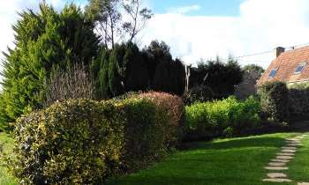 Puzzle Jardin - catégorie Paysages & Fleurs, puzzle gratuit en ligne