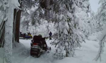 6105 | moto neige en Laponie - 