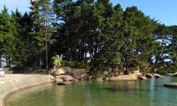 Puzzle Bord de mer - catégorie Paysages & Fleurs, puzzle gratuit en ligne