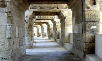 6454 | les arènes d'Arles - dans les arènes d'Arles 13004