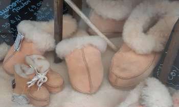 Puzzle 13069 - Chaussons