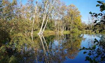 Puzzle 13469 - Plan d'eau