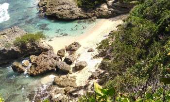 Puzzle 13863 - crique de Guadeloupe