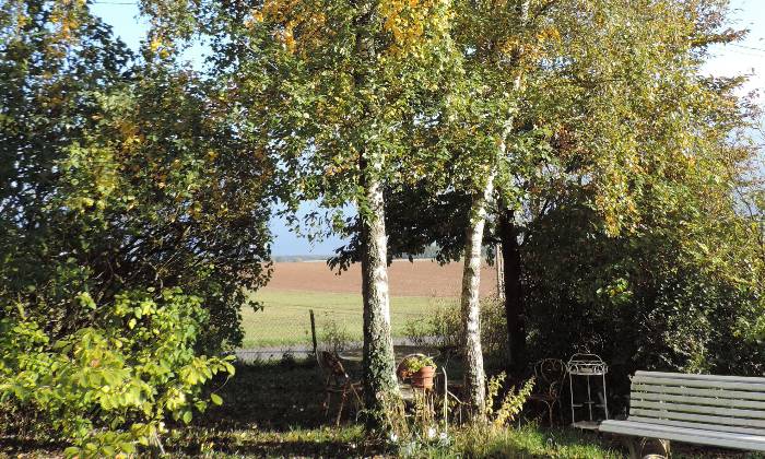 Puzzle gratuit douceur d'octobre dans la catégorie Paysages & Fleurs jouable de 24 à 120 pièces.