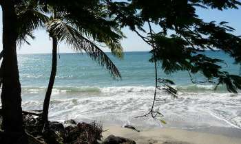 7597 | plage tropicale - 