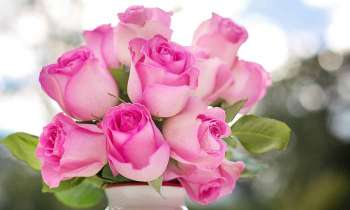 6694 | Bonne fête des mères - En ce dimanche 29 mai, Absolu-Puzzle souhaite une bonne fête à toutes les mamans avec ce joli bouquet de roses !