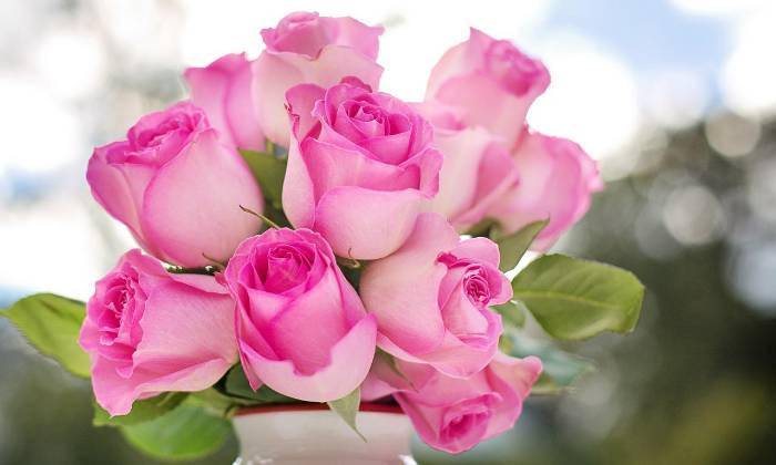 puzzle Bonne fête des mères, En ce dimanche 29 mai, Absolu-Puzzle souhaite une bonne fête à toutes les mamans avec ce joli bouquet de roses !