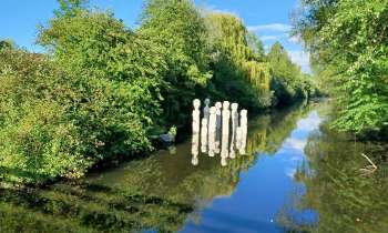 Puzzle 7041 - l'Esprit de l'eau
